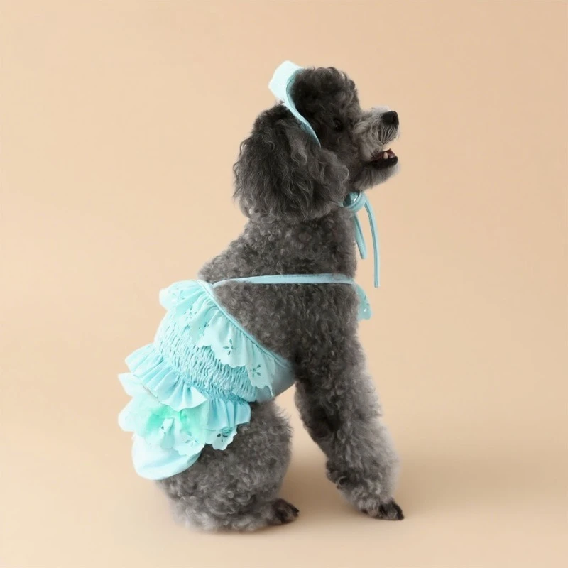 Pet Summer Bikini Swimsuit Set with Matching Hat Ruffle Lace Sling Bathing Suit Beach Outfit for Small Pet Dogs and Cats Skirt
