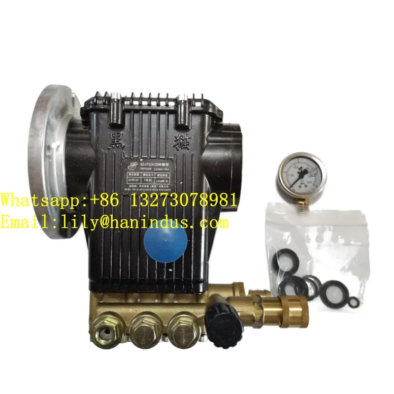 OEM BZ0720A   ZOOMLION/SANNY HIMORE Piston Water Pump Head