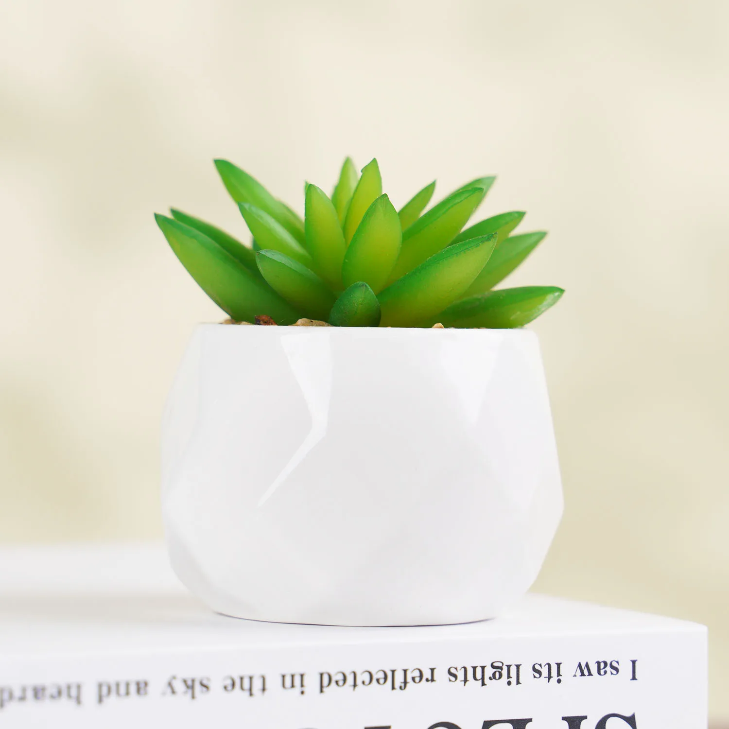 Simulation Plant Succulent  Bonsai Mini Small Simulation Tree Pot Grass for Garden Home Office  Table Decoration Fake  Flowerpot