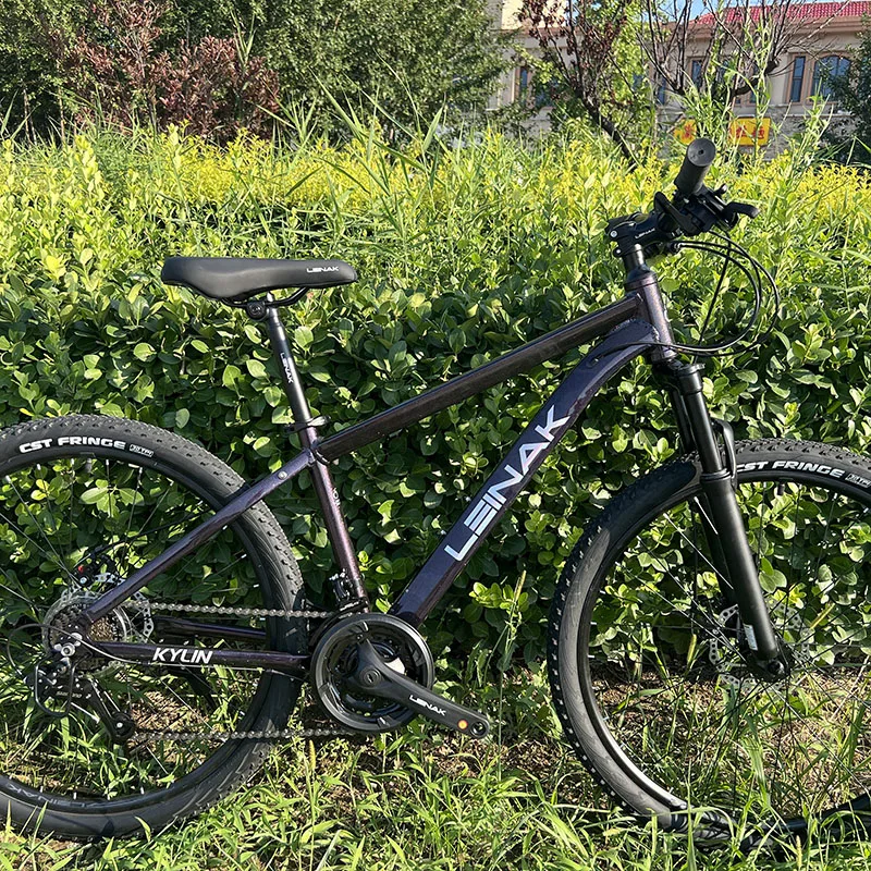 Adult Aluminum Alloy Mountain Bike 24/26in 21 Speed Shock Absorbing Disc Brake Bicycle Holiday Gift for Outdoor Cycling Lovers