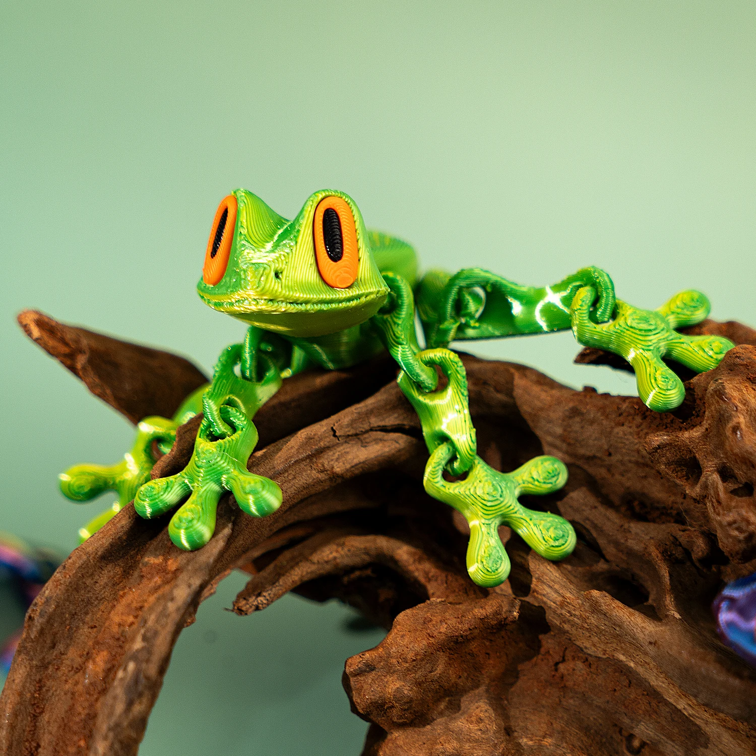 Creative and Funny Lifelike 3D Frog Variable Design Refrigerator Magnets Cute Refrigerator Magnets Whiteboard Sticker Decorative
