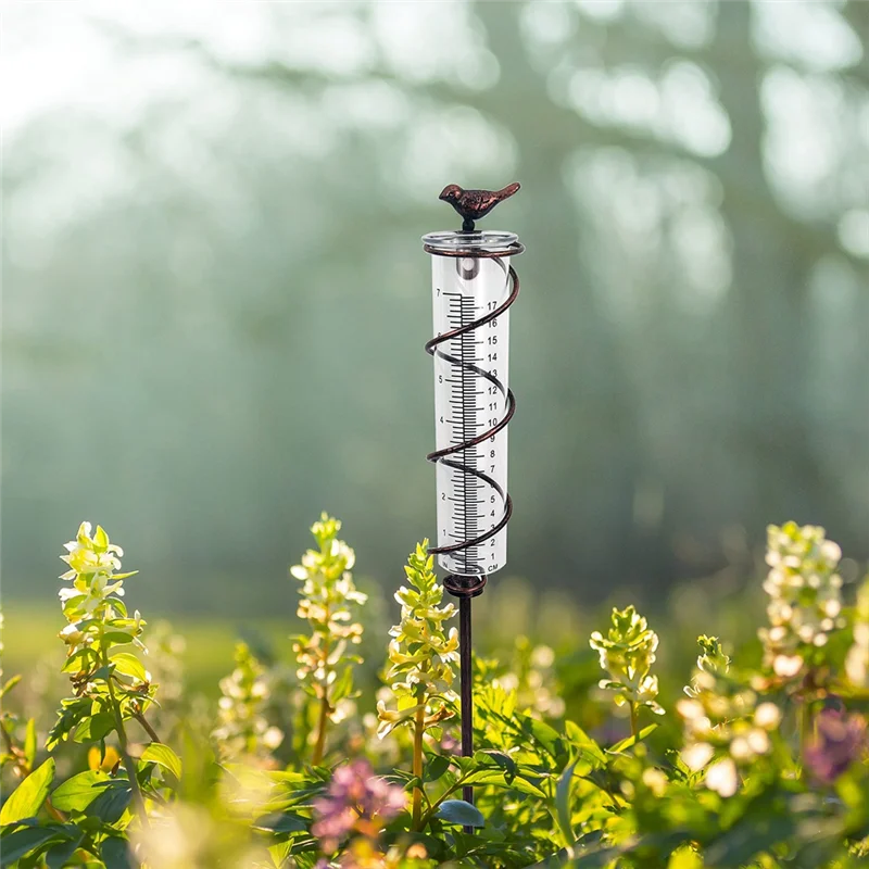 Pluviometro a spirale in vetro di capacità, pluviometro sospeso per uccelli in ghisa, misuratore dell'acqua piovana da giardino con struttura in metallo