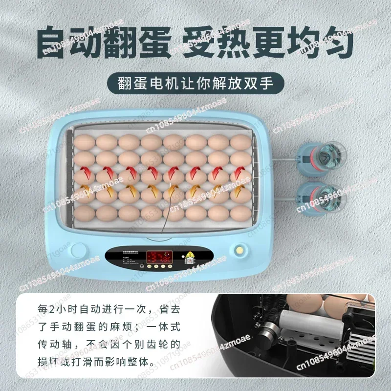 Y A water bed for incubating chicks Rutin Chicken Incubator Small household incubator incubator.