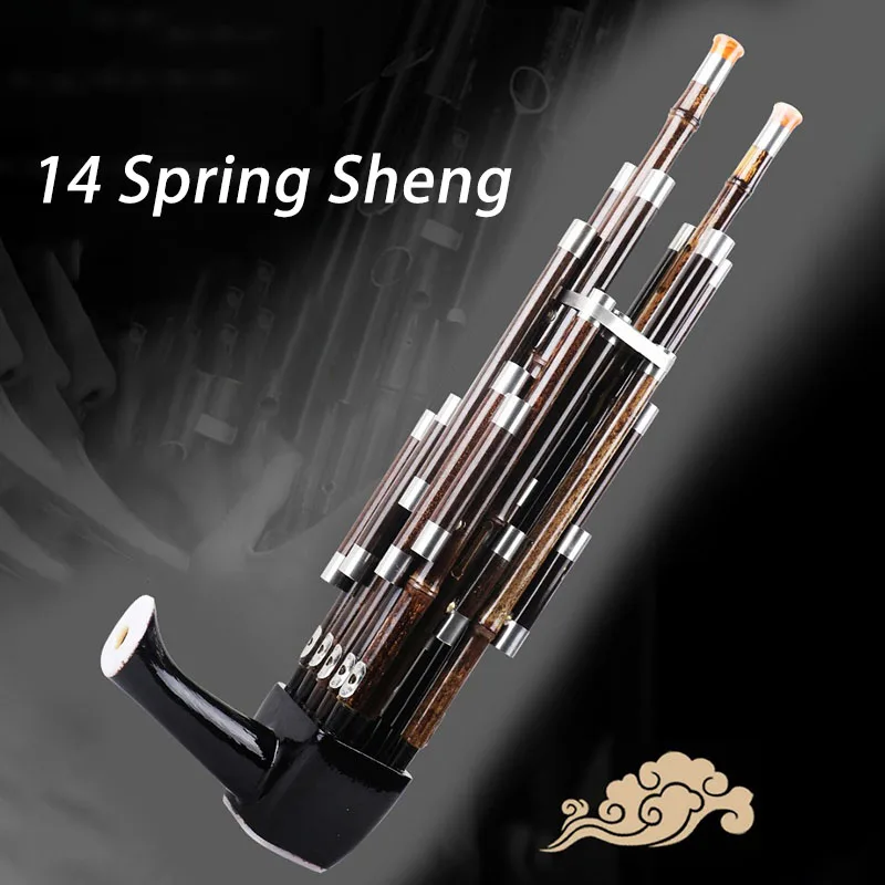 

14 весенних ключей D Sheng, фиолетовый бамбук, Sheng для начинающих, традиционное профессиональное исполнение, китайские народные музыкальные инструменты Shengs