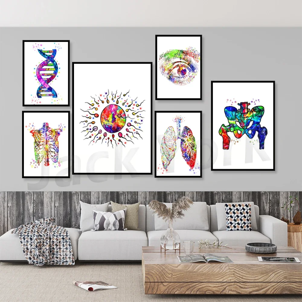 Watercolor Print Anatomy Art Skeletal System Poster Science Art Anatomy Print Medical Wall Decor Biology Anatomy Print