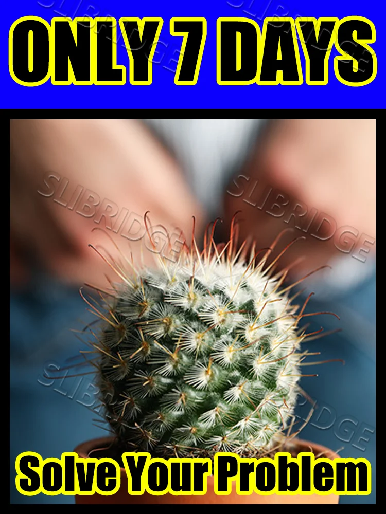 

Новинка 2025 года, инструменты для ухода за ягодицами, проблемы схода в туалете, решение своев проблему удлиненного сидения, бесплатная доставка