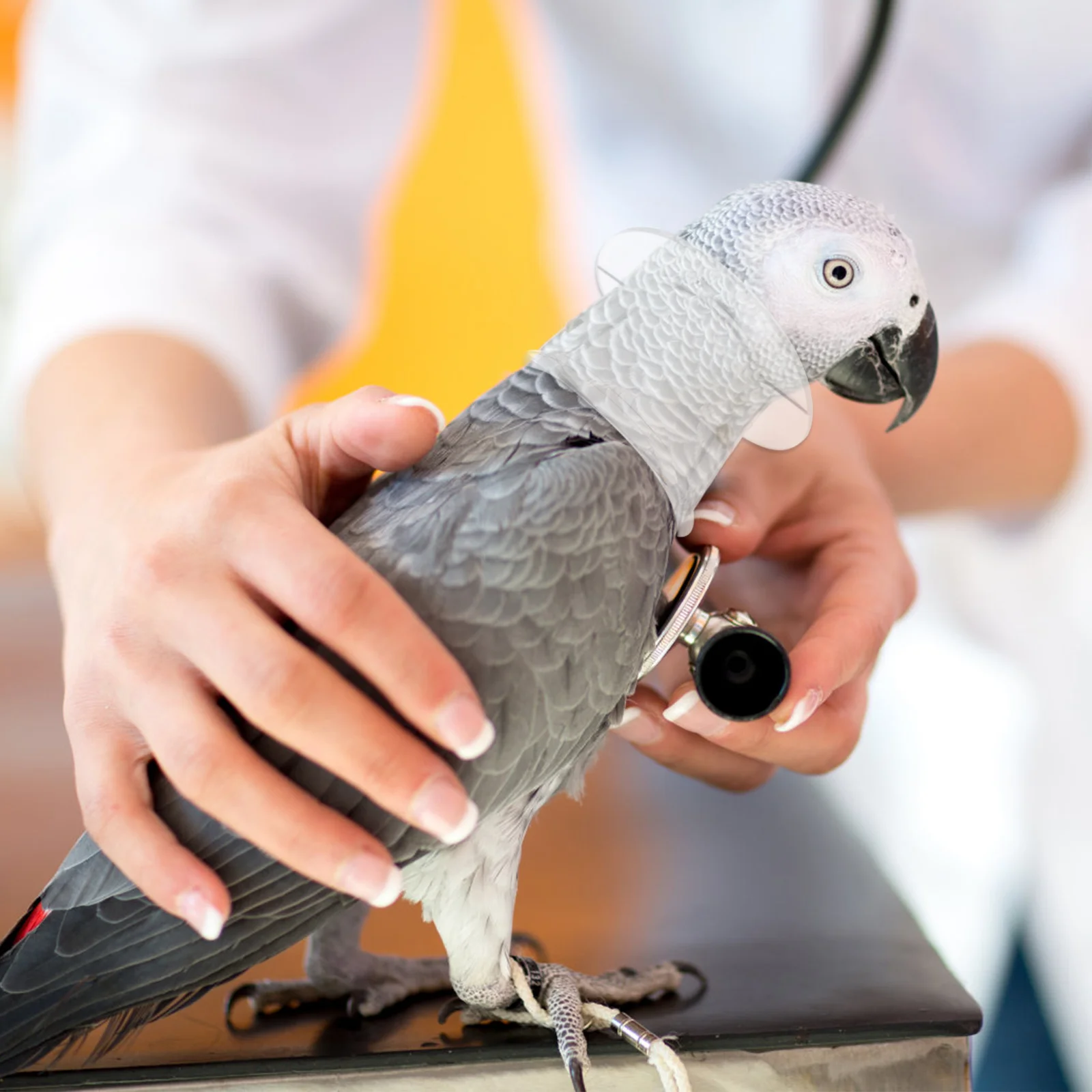 

Bird Anti-Bite Collar Parrot Neckband Sturdy Professional Tool Multiple Jobs Plucking Prevention Size S