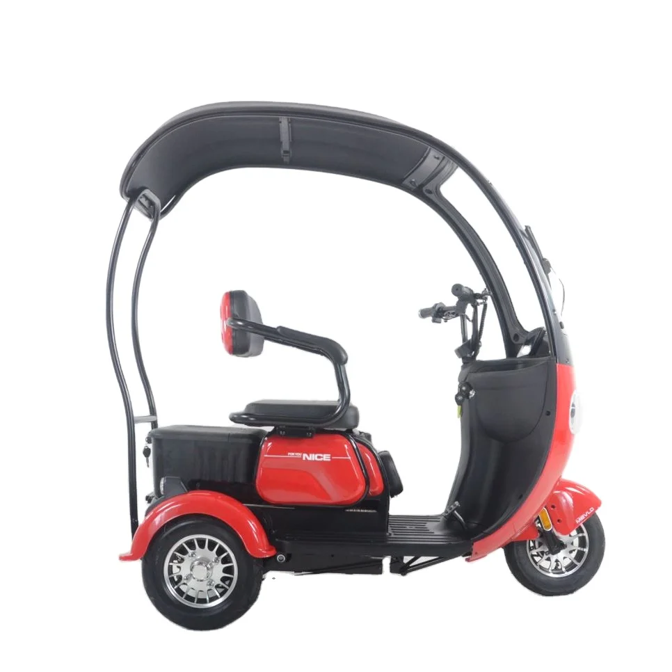 Covered Three-Wheel Electric Scooter with Roof Compact Electric Tricycle
