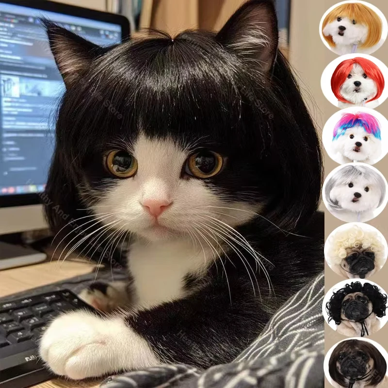 ﻿  Pet Wig,Cat Cosplay Props Curly Straight Hair,Puppy Costumes Supplies,Dog Creative Cross-Dressing Photography,Funny Prank