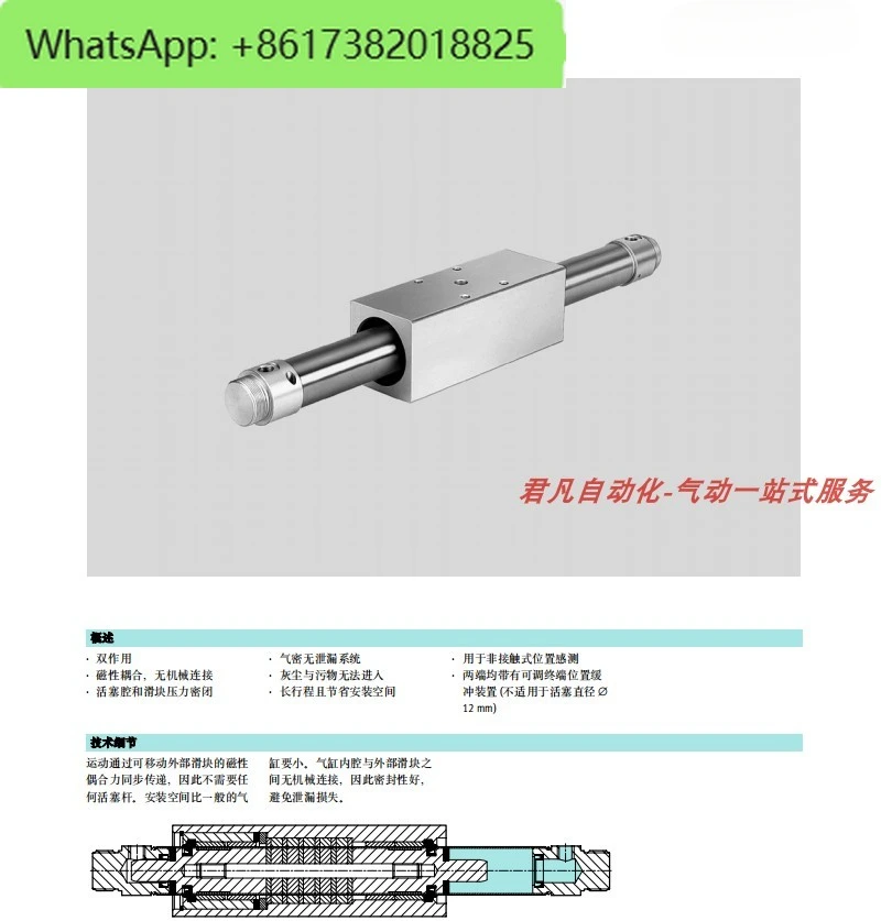 اسطوانة بدون قضيب DGO-25-100-200-300-350-400-500-600-900-PPV-A-B #2
