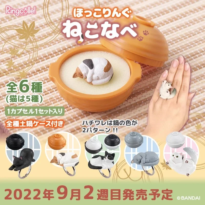 Original Genuine BANDAI Gashapon Cute Figurine Cat Casserole Ring Kawaii Anime Figure Capsule Toys Creative Gift