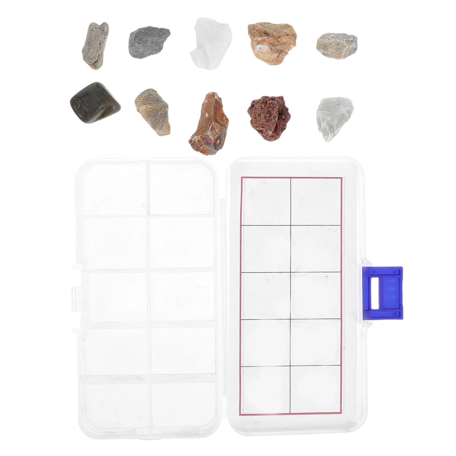 

1 Set Rocks Specimens Mineral Collection Kit For Kids Geology Classroom Learning With Granite Limestone Pumice Marble