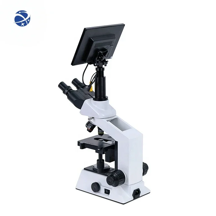 YSXWJ-CX80 Ysenmed Medical large screen lab instrument binocular microscope with camera