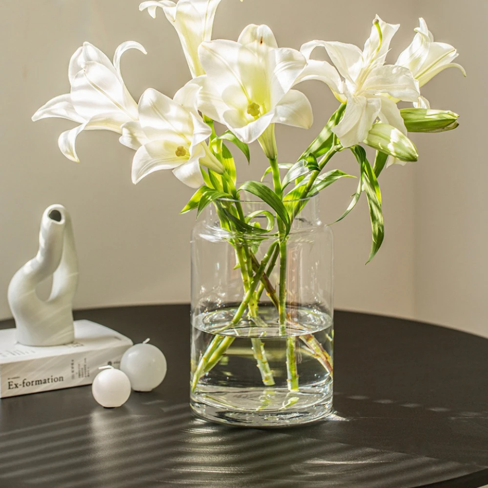 Minimalist Transparent Glass V - Glass Vase Nordic 评论和价格