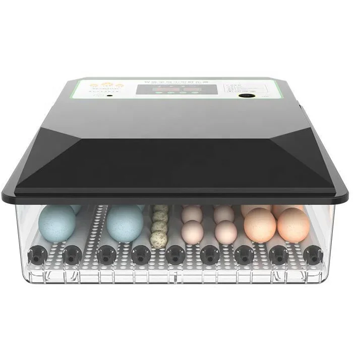 Rolling Turning Small Hatching Goose Turkey Quail Duck Chicken Mini Eggs Incubator for Sale