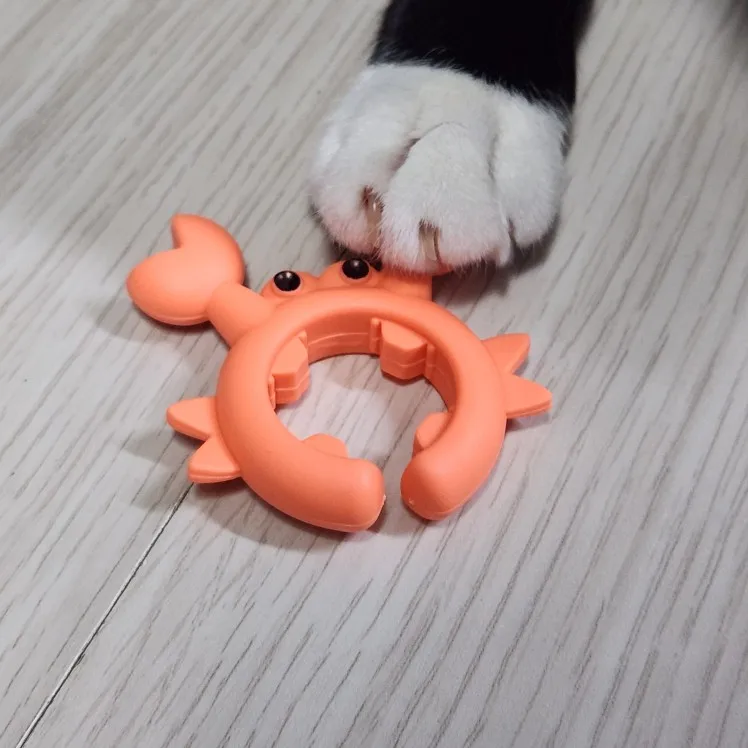 실물 포토 리뷰