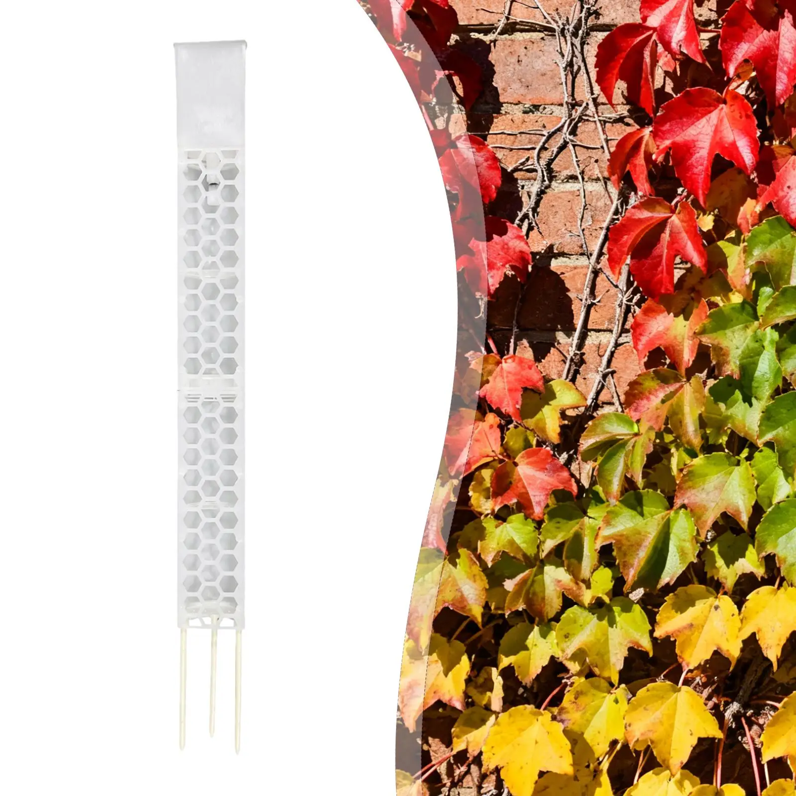 Gardening Durability Support Pole Lightweight Waterable Moss Pole Plant Climbing Trellis for Indoor Vine Care