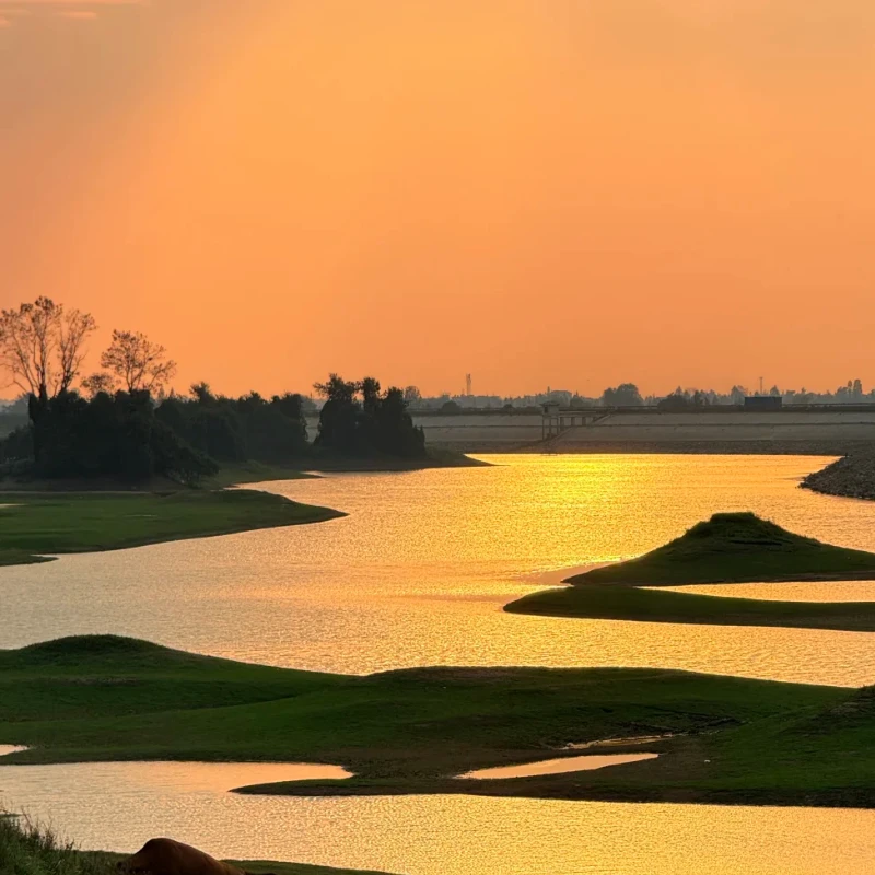 

JX Servo PDI-5515MG 15 кг Высокоточный рулевой механизм с металлической шестерней Стандартный цифровой сервопривод для 1:8/1:10 RC автомобильные детали самолета