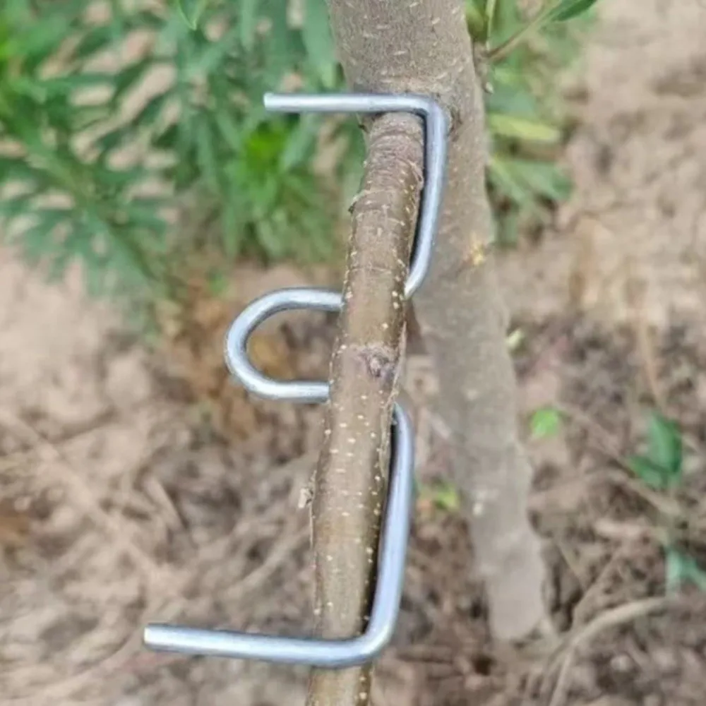 10Pcs M-Shaped Fruit Tree Branch Puller Shape Fixator Metal Branch Shaping Device Heavy-Duty Branch Bends Tree Branch Bender