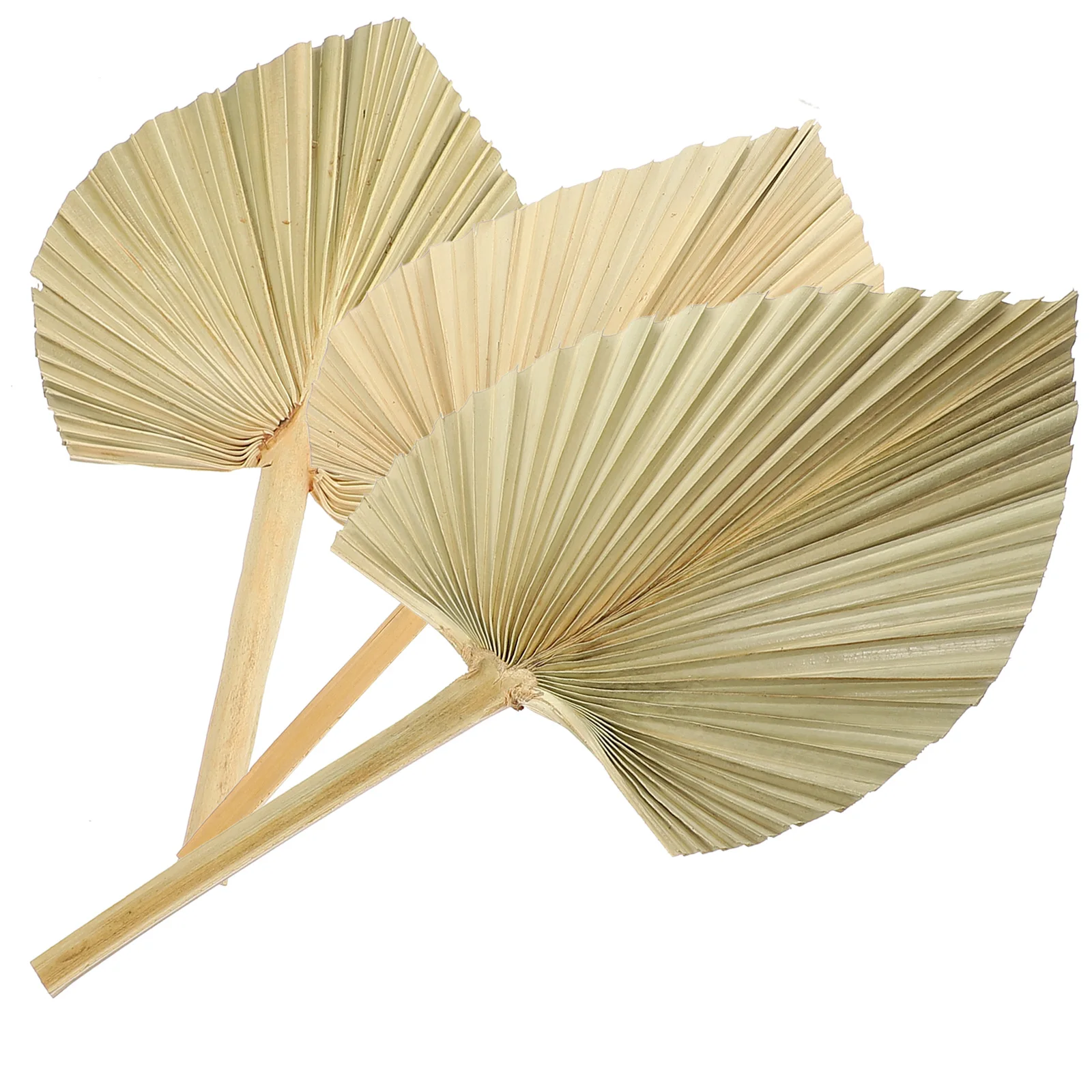 

3pcs Dried Wedding Party Palm Ornament Holiday Banquet Scene Wall Art Flower Arrangement Dried Natural Adornment Photography