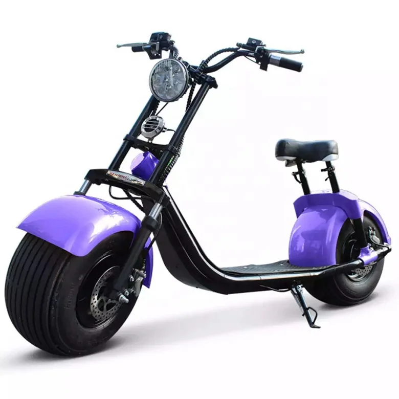 19 inch Europe warehouse Electric citycoco Skateboard Two Wheel Self Balancing Scooter With Handrail Speaker 60V