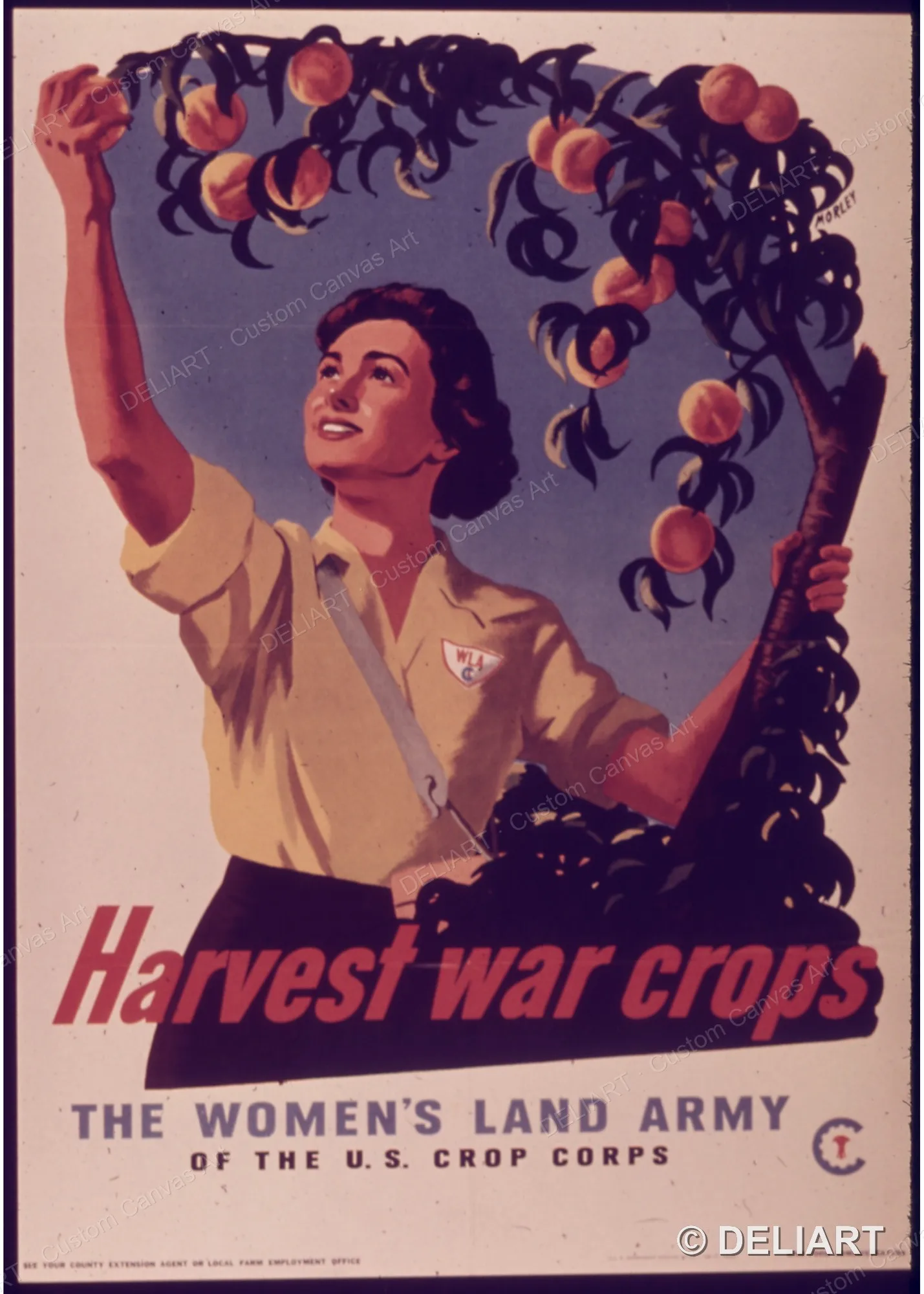 Harvest War Crops, The Women's Land Army Vintage WWII Propaganda Canvas Wall Art Poster Print Retro Home Decor Unframed