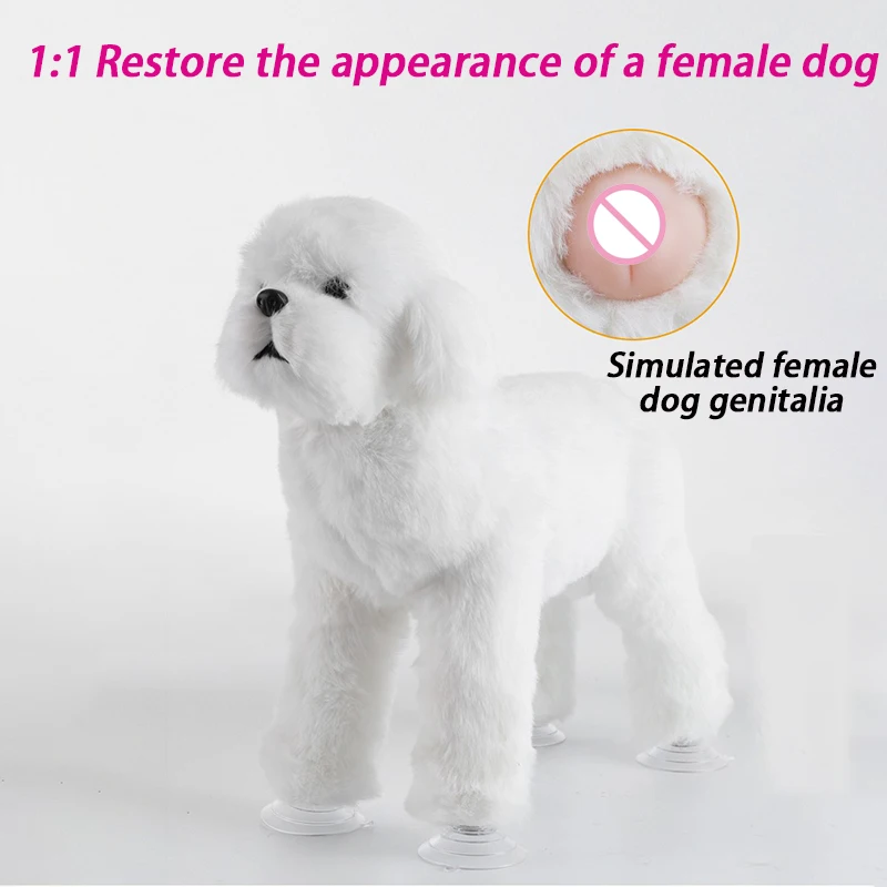 Exploring the World of Sex Doll Animals: A Comprehensive Review and Guide Exploring the World of Sex Doll Animals: A Comprehensive Review and Guide
