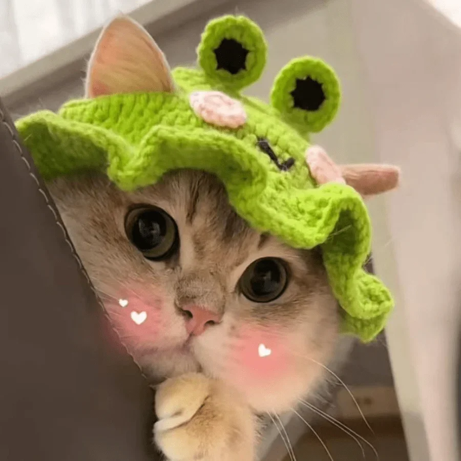 Pet Hat & Headgear, Handmade Knitted, Cute & Funny, For Cat, Dog, Cosplay