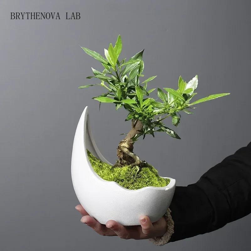 Rhinoceros Horn Shape Ceramic Flower Pot Green Plant Pot Planter Succulent Cactus Bonsai Flower Container Home Decoration