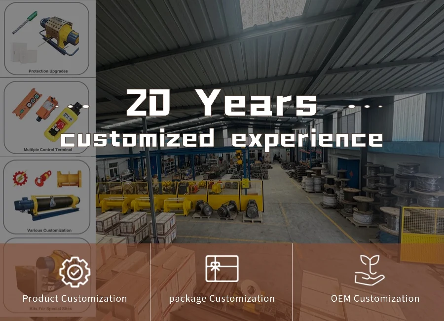 220V 380Volts 3 Phase Hoisting Equipment for Lift Crane Cheap Price Electric Hoist With Electric Trolley 1Ton 1000KG