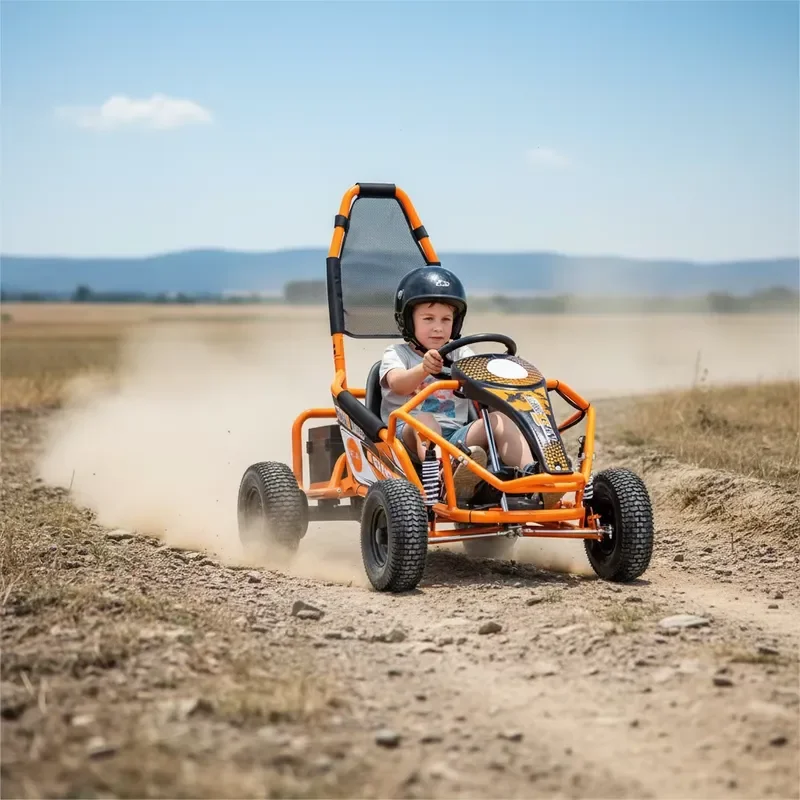 QIQU Wholesale 500W Shaft Transmission Low Maintenance Rental Kart Electric Off Road Karting
