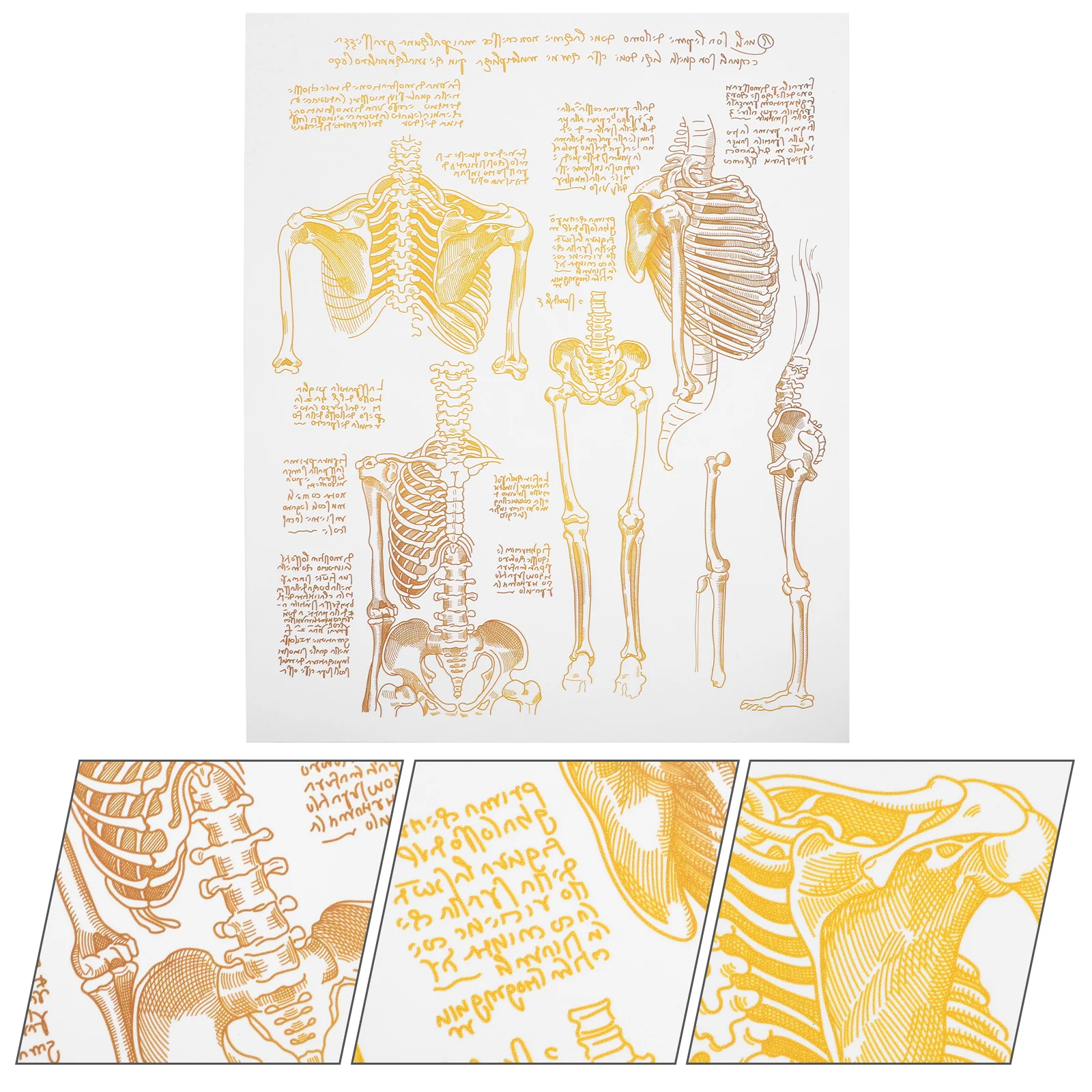 Small Hospital Wall Decor Poster Decorative Painting/hanging Picture Body Canvas Nurse