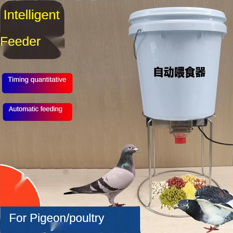 110/220V Pigeon Supplies Utensils Automatic Feeder Pigeon Trough Self-help Timing Fixed-point Chicken Pigeon Feeding Artifact