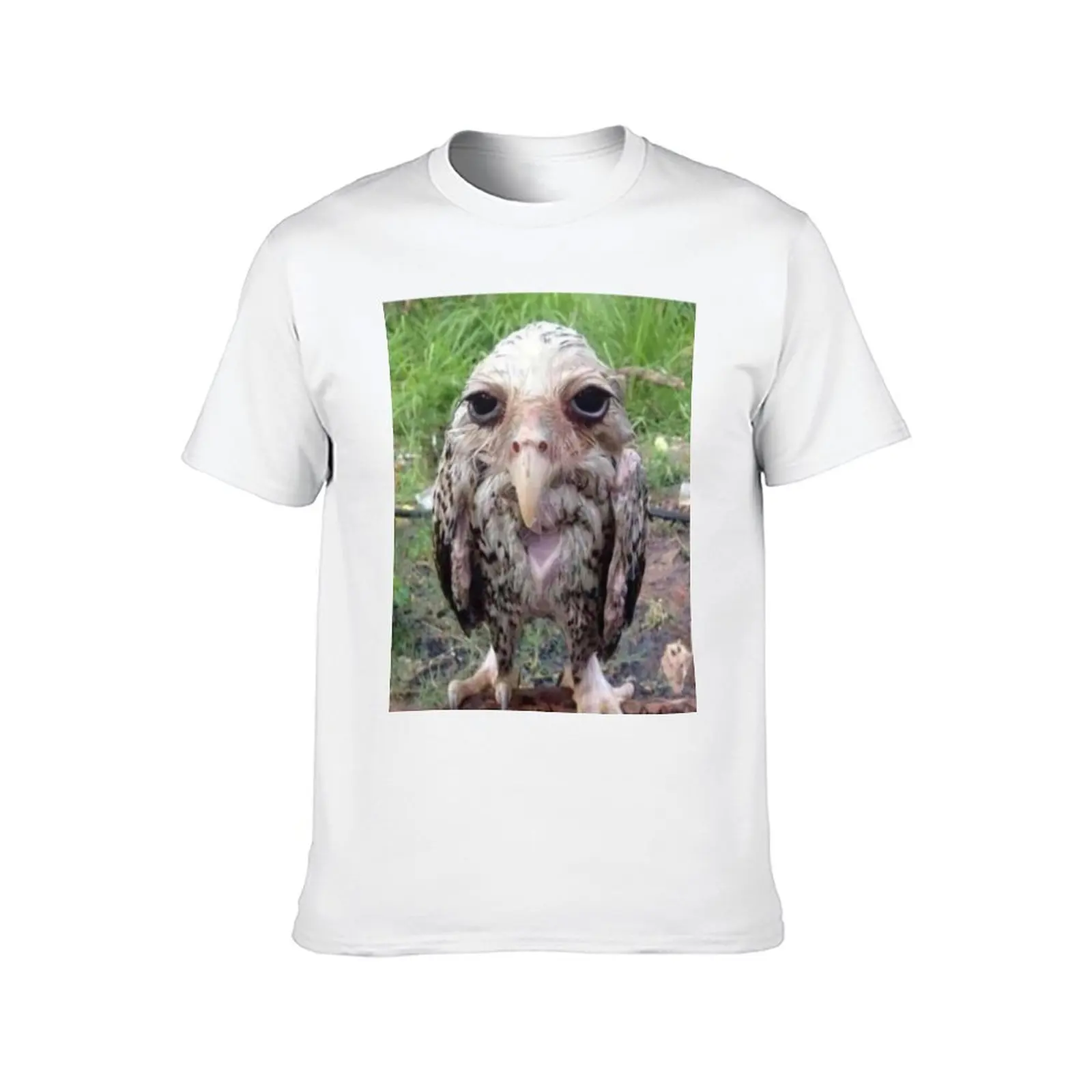 تي شيرت Wet Owl Meme Essential تي شيرت أنيمي للرجال تي شيرت مصمم تي شيرت #2