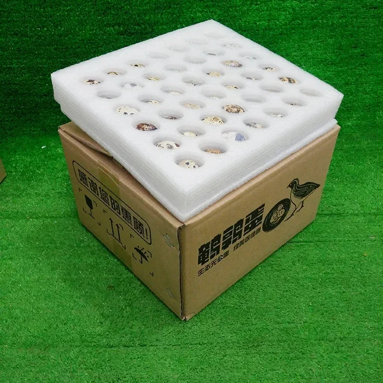 Pearl Cotton Pigeon Egg Quail Egg Protection Tray Express Stress Resistance Packaging Box Earthquake Resistance Foam Pack Case