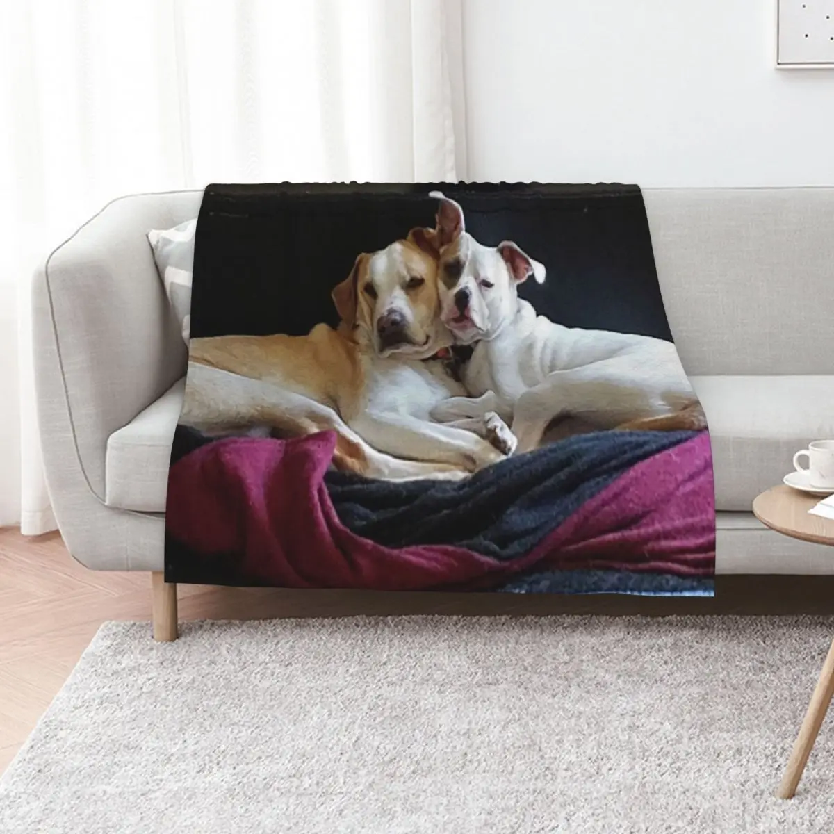 

Puppy Love (Photography) Throw Blanket Furrys Quilt Thermals For Travel Comforter Blankets