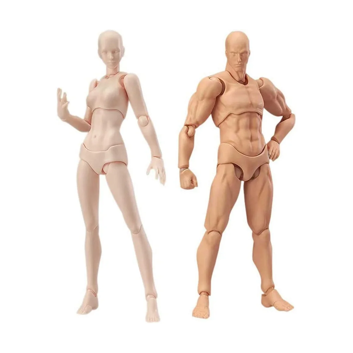 Body Doll, Artists Manikin Blockhead Jointed Mannequin Drawing Figures Male+Female Set (Skin Color)