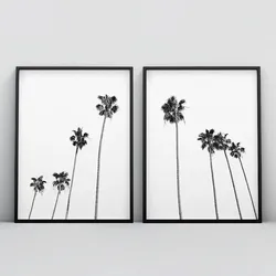 Black and White Palm Trees Posters Prints Tropical Wall Art Pictures Canvas Painting for Living Room Home Decoration