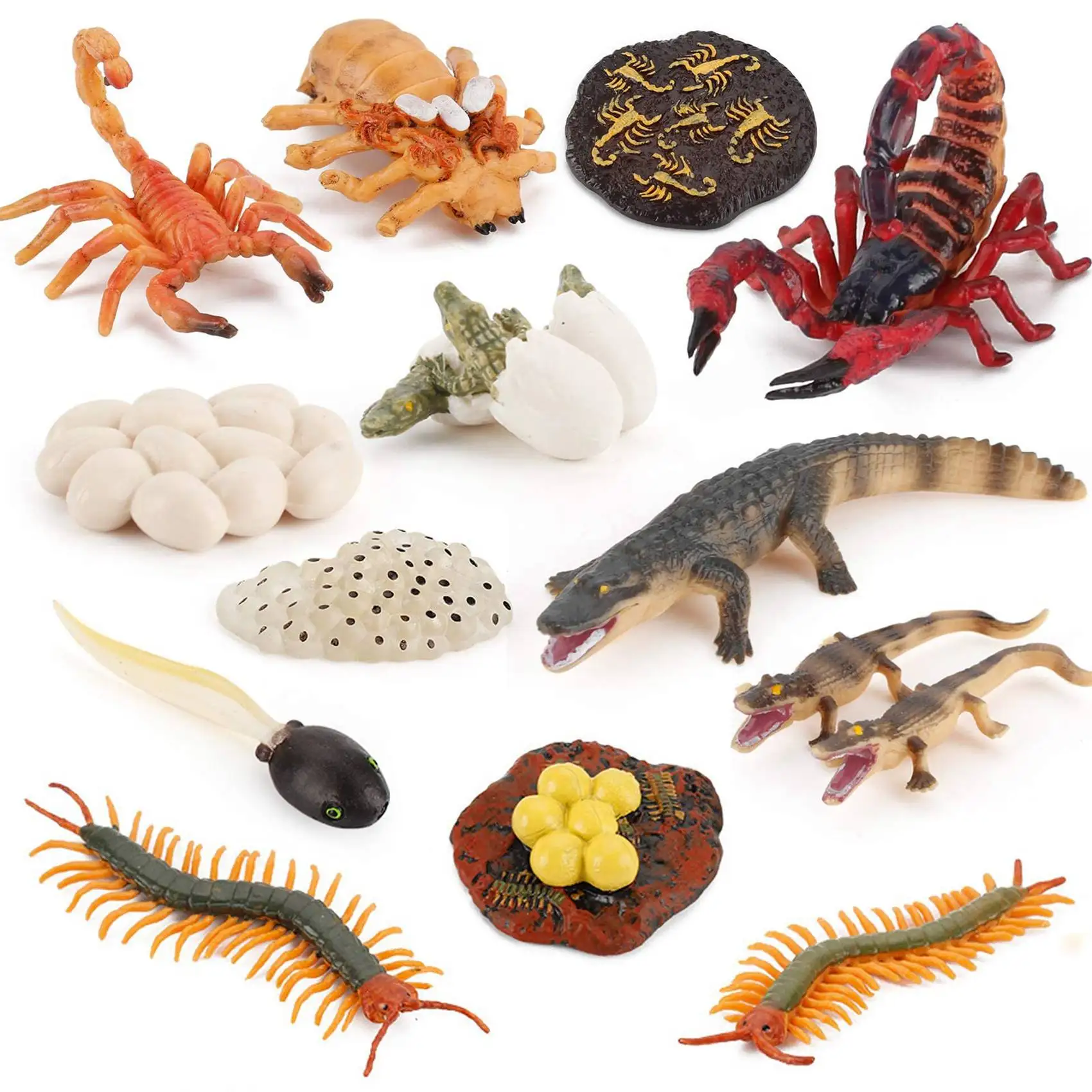 21 PCS Simulation Animals Growth Cycle Scorpion Centipede Frog Crocodile Life Cycle Models Figures Educational Kids Toys