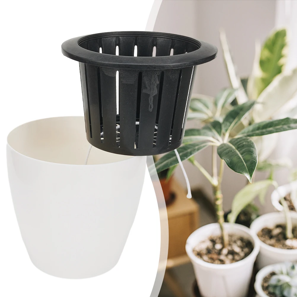 Vaso de flor auto-escorvante plástico, endro verde suculento, pequena planta verde, decoração de jardim em casa, escritório