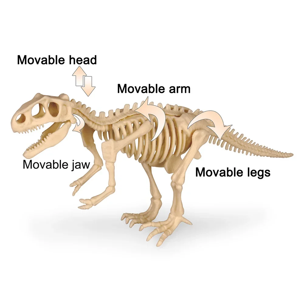 Zestaw do wykopalisk skamieniałości dinozaura jurajski Model szkielet zwierzęcy dziecko kopiące archeologiczną grę edukacyjną prezent dla dzieci