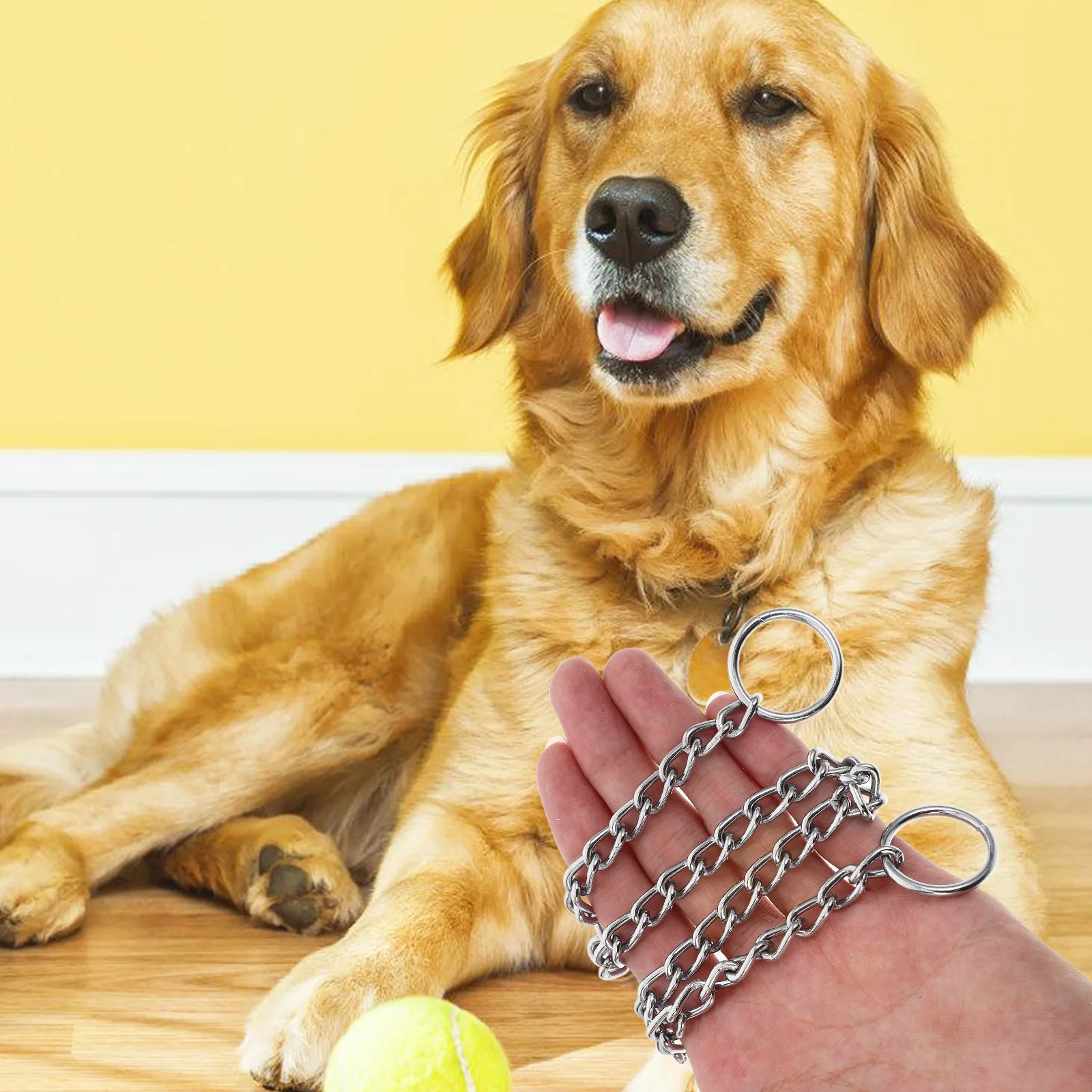 

Durable Chrome Plated Pet Necklace Stylish Lightweight Metal Dog Collar Comfortable Fit for Small Dogs French Bulldog Decorative