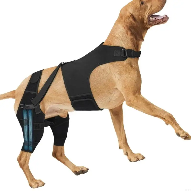 Hunde-Hinterbeinstütze für Tränen- und Hüftdysplasie mit verstellbarem Riemen und Stabilisatoren, Beinstütze B03E – Detail 3