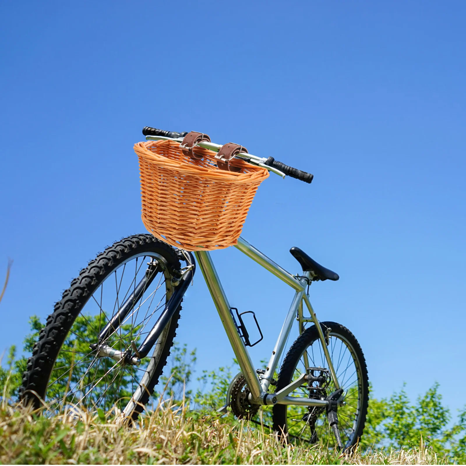 Small Size D Shape Children Bike Basket Handmade Natural Willow Wicker Detachable Front Handlebar Storage Basket for Outdoor