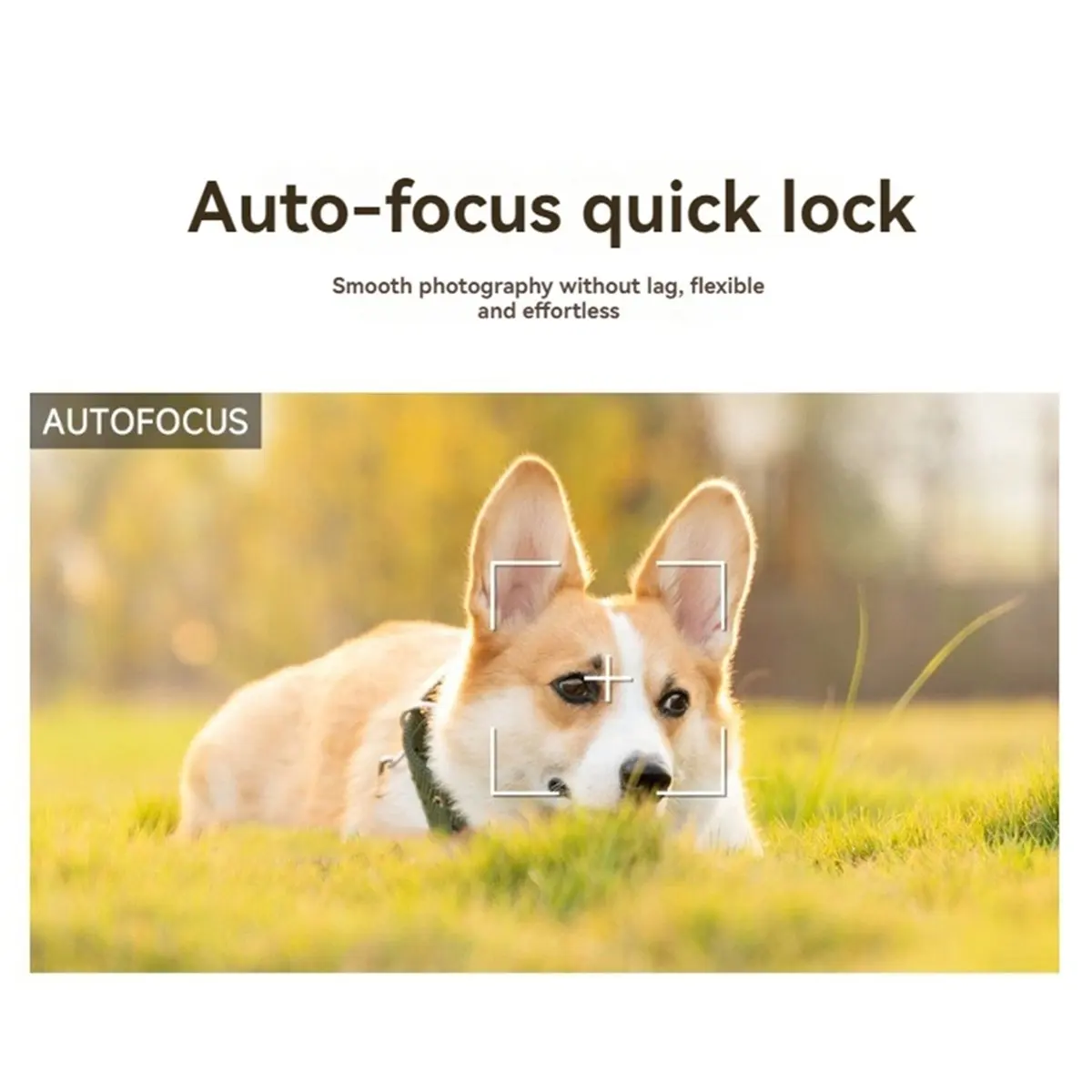 

Stable- For Raspberry Pi IMX708 NoIR Camera 12MP Autofocus Camera Support HDR 120° FOV for Raspberry Pi 5 4B 3B+ 3B Zero 120°