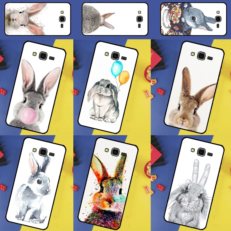 Cute Bunny Rabbit F…