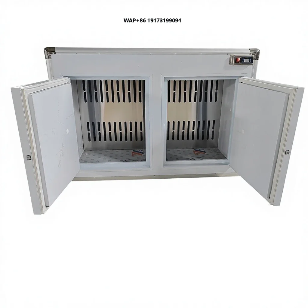 Customized Premium Quality 75mm Thick Refrigerated Cabinet and Insulated Containers for Cold Chain Box with Stainless Steel