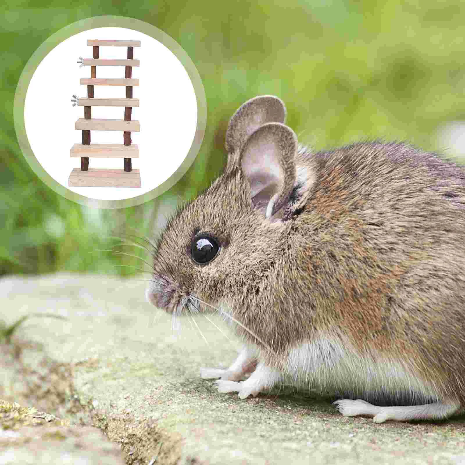 

Birds Hamster Climbing Ladder Toys Guinea Pig Wooden Rat Cage Accessories Small Animal