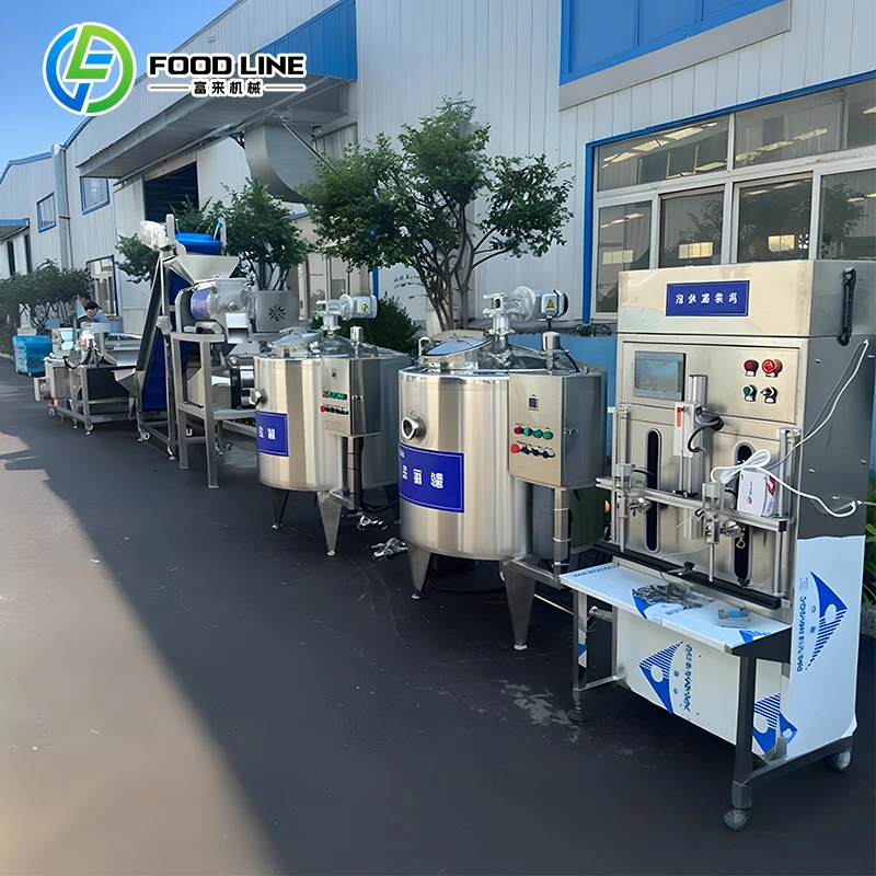 Customized Juice and Milk Production Line Natural Watermelon & Melon Juice Production Line