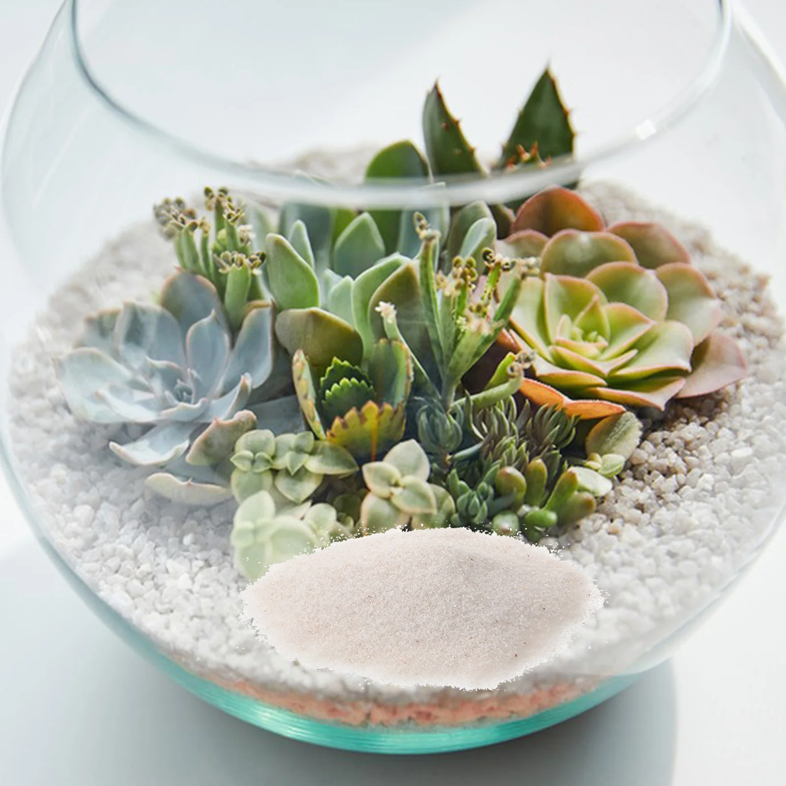 Fish & Aquatic Supplies